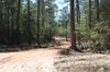Bonhomie Road photo